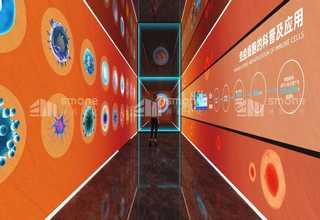 涟水建筑轮扣出租厂