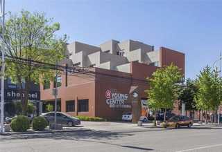 二代花魔芋种子厂家供应