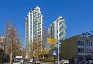 海南品种手工宠物零食经验丰富