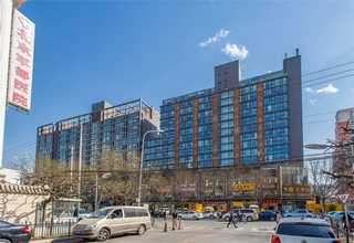 青岛信息学编程培训内容